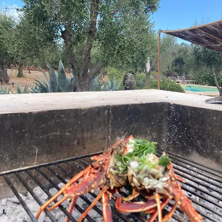 Trullo Lei By Borgo Paoli, Romantic Experience With Pool & Olive Trees In فيلة أوستوني